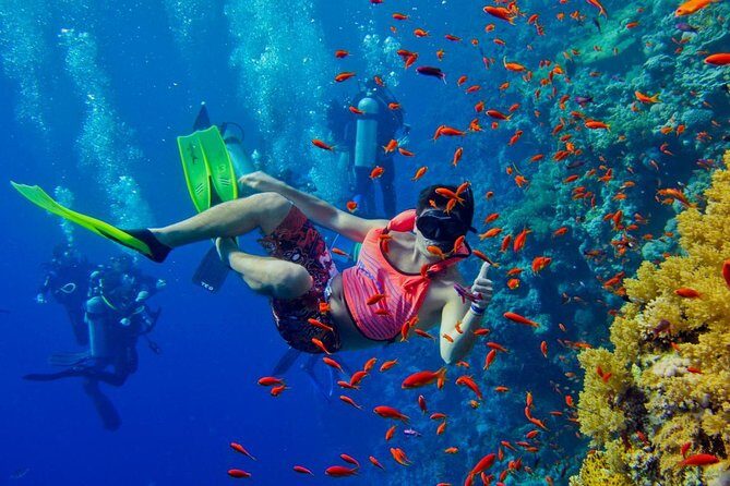 Half Day Zanzibar Mnemba Atoll Marine Reserve Snorkeling Tour - What the Reviews Reveal: The Good and the Not-So-Good