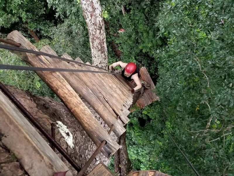 Half-Day Zipline & Abseiling Adventure in Krabi - The Value of This Adventure