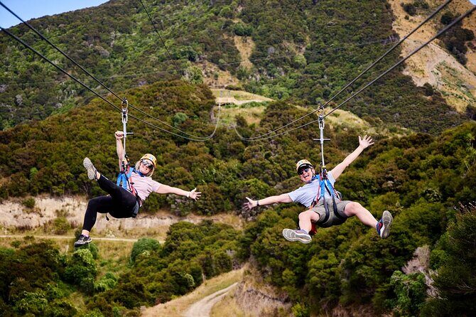 Half Day Zipline Adventure in Kaikoura - An In-Depth Look at the Experience