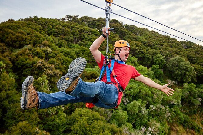 Half Day Zipline Adventure in Kaikoura - The Sum Up