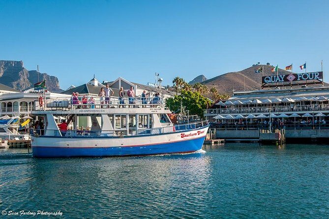Half Hour Seal and Harbour Cruise from Cape Town - Key Points