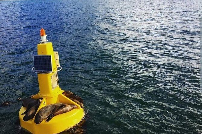 Half Hour Seal and Harbour Cruise from Cape Town - Frequently Asked Questions (FAQs)
