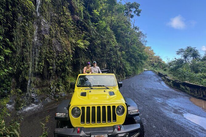 Half way to Hana Maui Open Air Jeep Private Tour - The Promise of this Maui Jeep Tour: An Honest Look