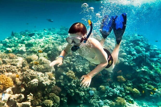 Halfday My Son Sanctuary Guided Tour with Boat Trip - FAQ