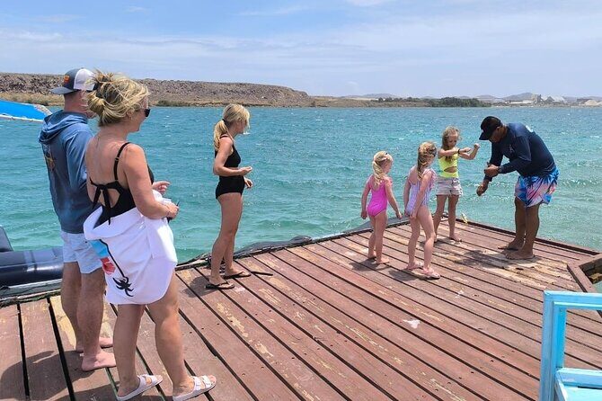 HalfDay Private Snorkel & Mangrove Experience Local Host - Key Points