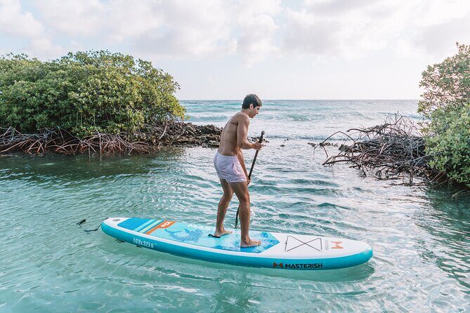 HalfDay Private Snorkel & Mangrove Experience Local Host - FAQs