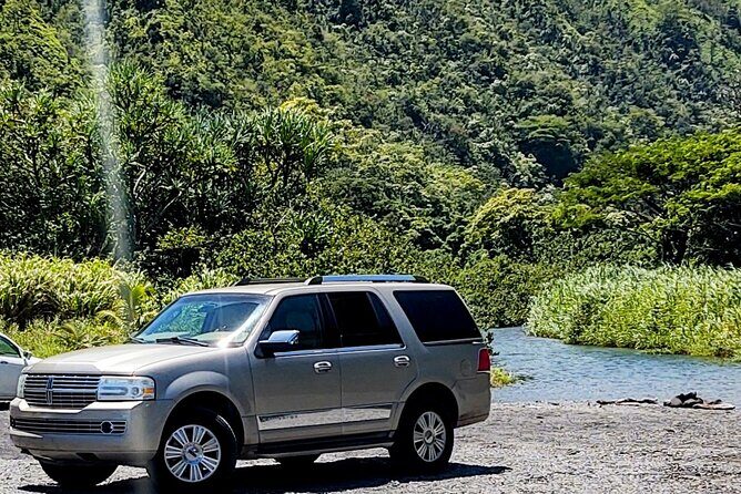 Halfway to Hana Private Tour Maui BlackBeach Waterfalls Turtles - Key Points
