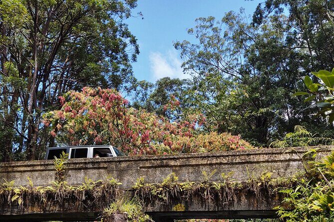 Halfway to Hana Tour of Maui Black Sand Beach Waterfalls Turtles - Final Thoughts: Who Should Consider This Tour?