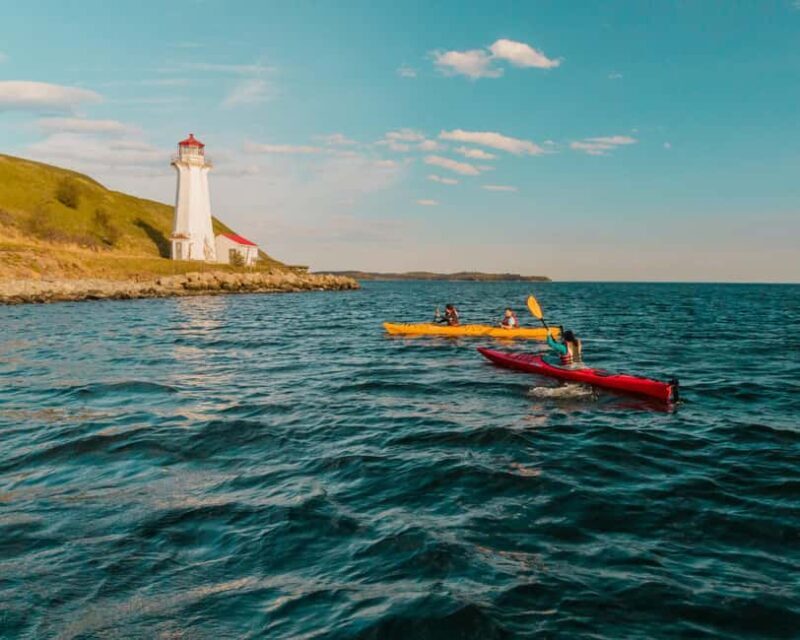 Halifax: Guided Kayak Tour with Multiple Options - An In-Depth Look at the Halifax Kayak Tours