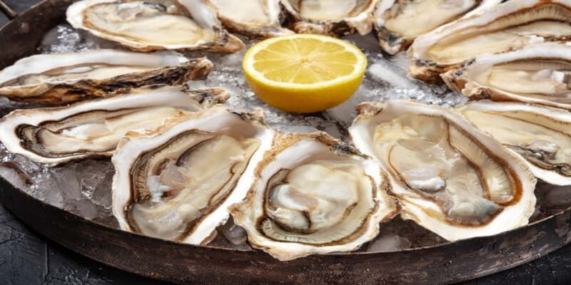 Halifax Harbourfront Food Walking Tour - Who Will Love This Tour?