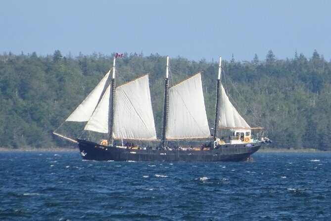 Halifax self-guided walking tour and scavenger hunt - Final Thoughts