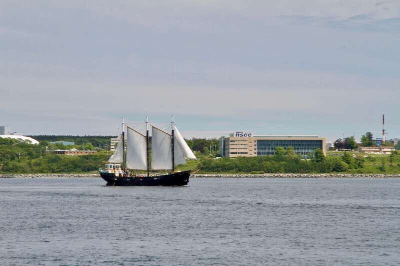 Halifax: Tall Ship Harbor Sailing Cruise with Live Music - The Sum Up