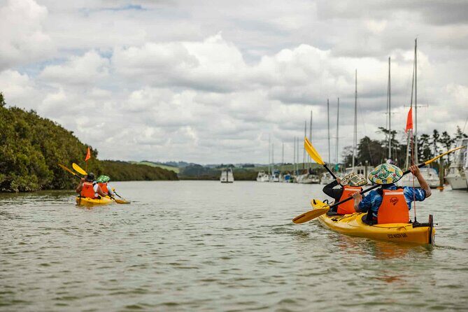 Hallertau Clevedon Kayak Tour - A Genuine Dive into the Clevedon Kayak Adventure
