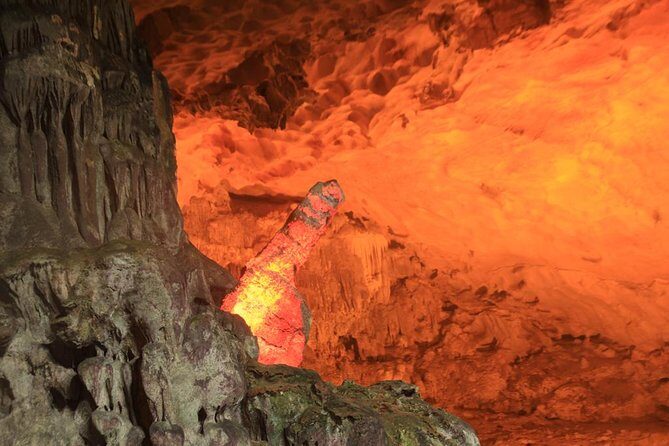 Halong Bay Cruise Day Trip: Titop island, Surprise cave, Swimming, Kayaking - FAQ: Your Practical Questions Answered