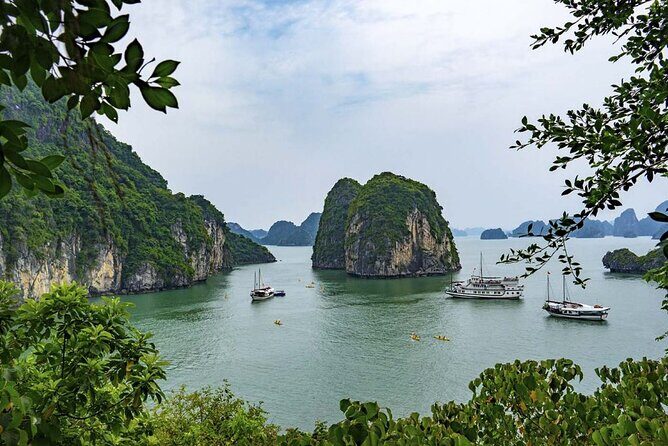 Halong Bay Cruises Best Seller - Key Points