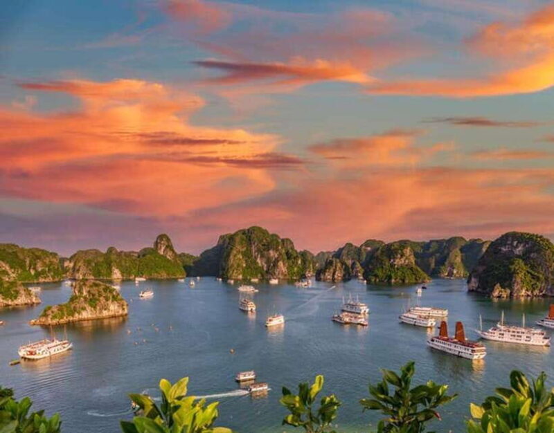 Halong Bay: Day Cruise with Lunch and Kayak from Ninh Binh - Who Is This Tour Best For?