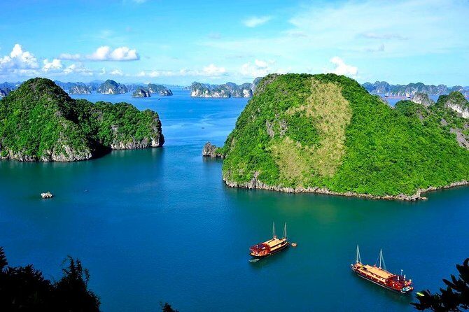Halong Bay Day Tour With Titop Island, Cave, Kayak & Lunch - In-Depth Look at the Tour Experience