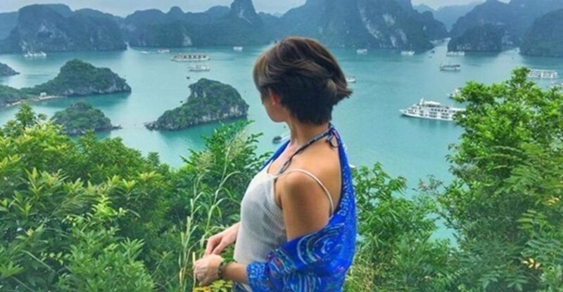 Halong Bay Full-Day Titop Island, Sung Sot & Luon Cave - An In-Depth Look at the Halong Bay Full-Day Tour