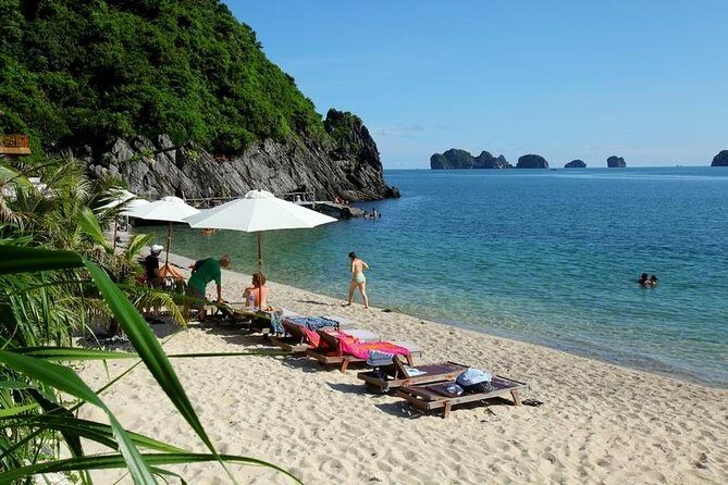 Halong Bay Full Day Tour With Highway Transfer - Who Is This Tour Perfect For?