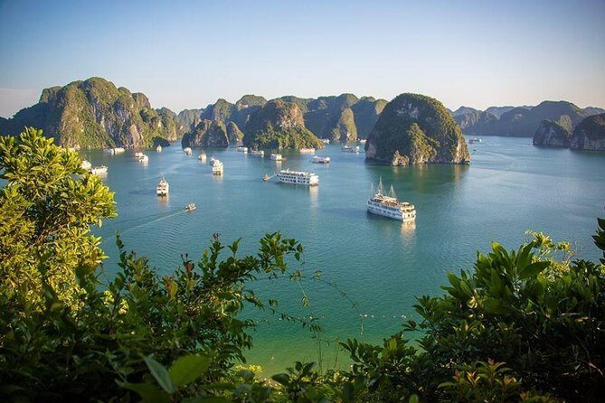 Halong Bay In Just One Day with Ti Top Island - Overview of the Tour Experience