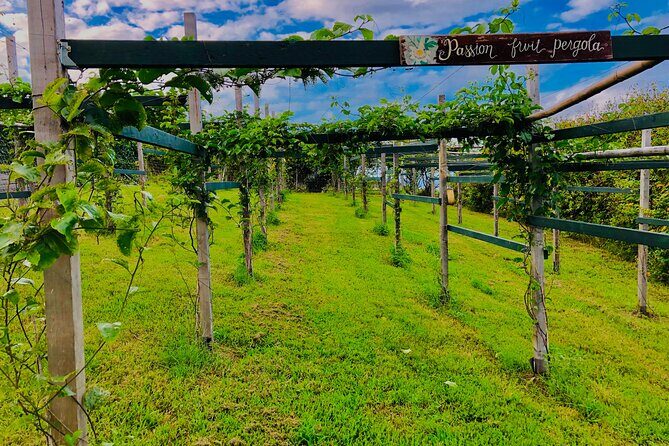 Hamakua Coast Farm Small-Group Walking and Tasting Tour - Exploring the Hamakua Coast Farm Small-Group Walking and Tasting Tour