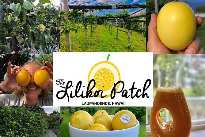 Hamakua Coast Farm Small-Group Walking and Tasting Tour - Final Thoughts