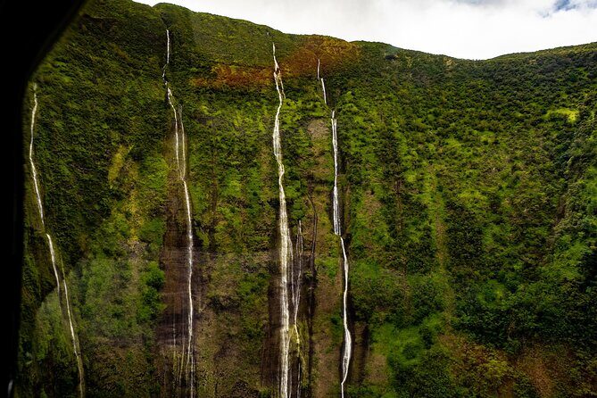 Hamakua Coast & Valleys Safari - FAQ