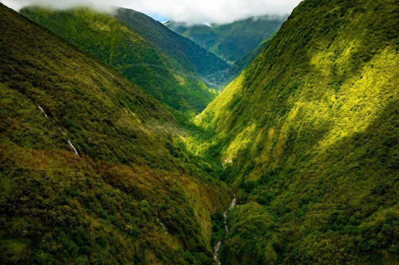 Hamakua Coast Waterfalls and Valleys Safari - Introducing the Hamakua Coast Waterfalls and Valleys Safari