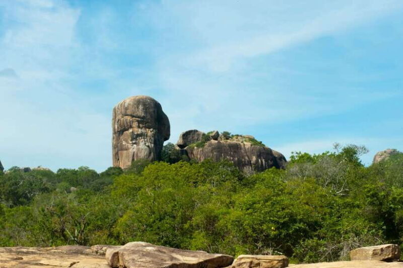 Hambantota Shore Excursion: Village and Cultural tour - Who Should Consider This Tour?
