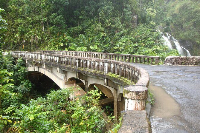 Hana Private Road Tour up to13 passengers - Who Should Consider This Tour?