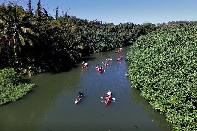 Hanalei Bay Morning Kayak and Snorkel Tour - A Closer Look at the Tour Experience