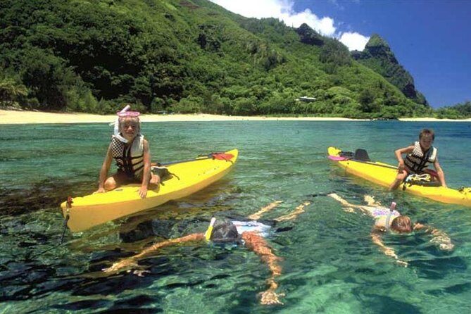 Hanalei River Paddle and Bay Snorkel Tours (LUNCH INCLUDED) - The Itinerary Breakdown: What You Can Expect