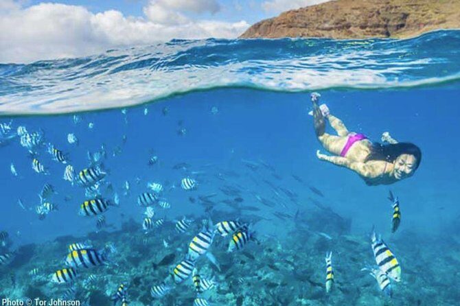 Hanalei River Paddle and Bay Snorkel Tours (LUNCH INCLUDED) - Frequently Asked Questions