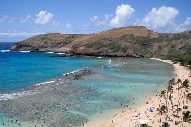 Hanauma Bay Guided Snorkel Tour (with guaranteed entrance time) - An Authentic Look at the Hanauma Bay Guided Snorkel Tour