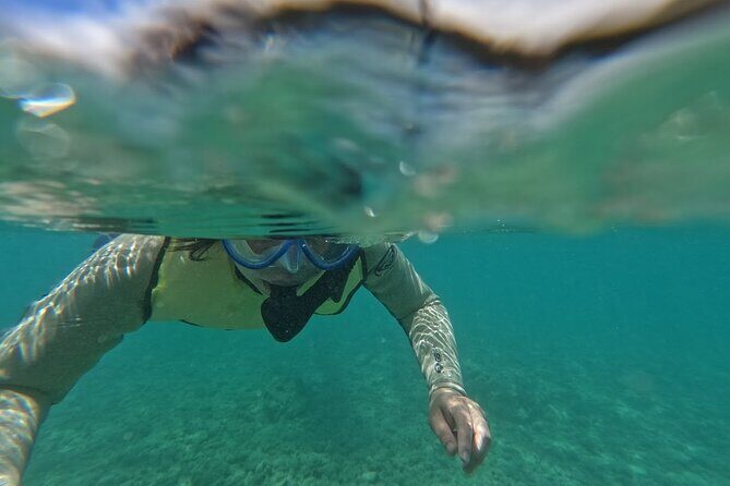 Hanauma Bay Guided Snorkeling Tour with Transportation - Key Points