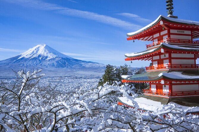 Haneda Airport: One Way Private Transfer to Tokyo|Yokohama Hotels - What to Expect from the Service