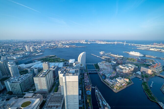 Haneda Airport: One Way Private Transfer to Tokyo|Yokohama Hotels - Why Choose This Service?