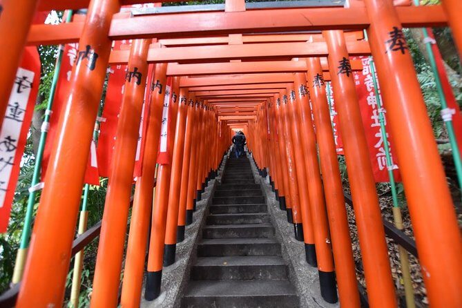 Haneda Layover tour of 6hours with local Japanese guide by train - Logistics, Price, and Value