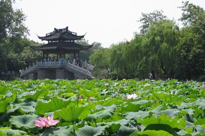 Hangzhou Heaven on Earth Full Day Private Tour from Shanghai - What Travelers Say