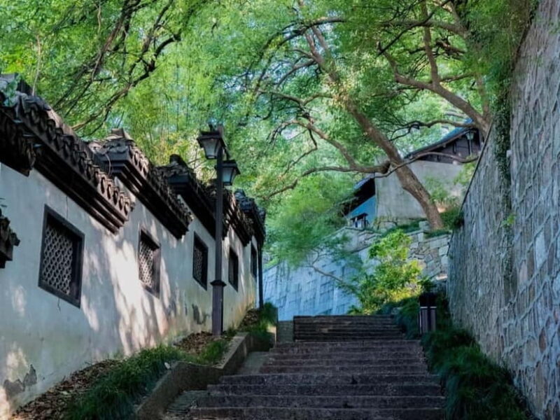 Hangzhou Insider Mini-Hike: TCM, Hill Views and Wet Market - Key Points