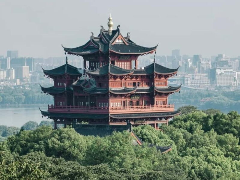 Hangzhou Insider Mini-Hike: TCM, Hill Views and Wet Market - Visiting a 200-Year-Old Traditional Chinese Medicine Museum