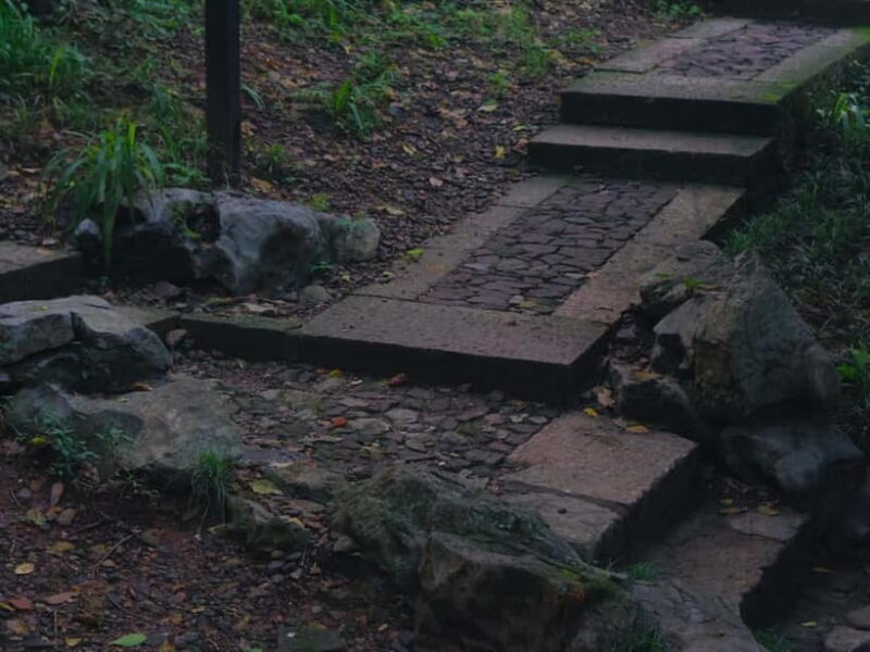 Hangzhou Insider Mini-Hike: TCM, Hill Views and Wet Market - The Descent: Experience Local Market Culture