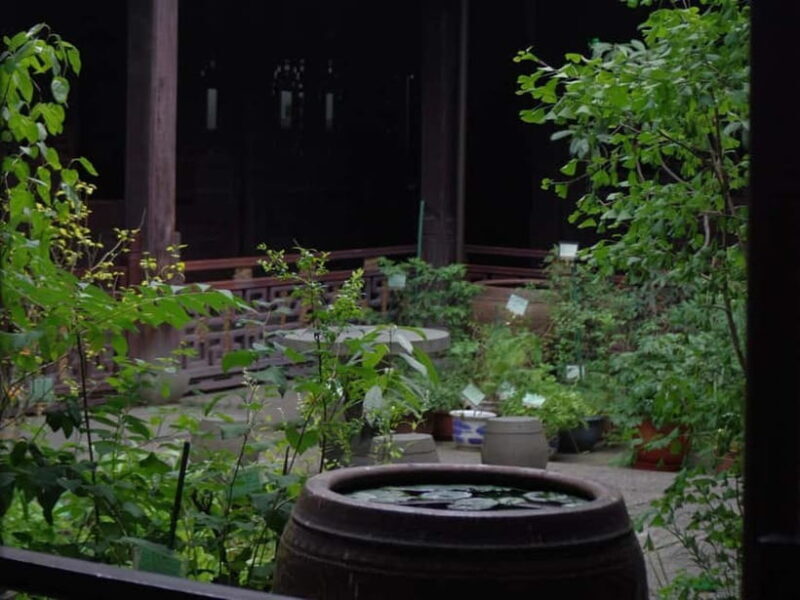 Hangzhou Insider Mini-Hike: TCM, Hill Views and Wet Market - Practical Details & Value