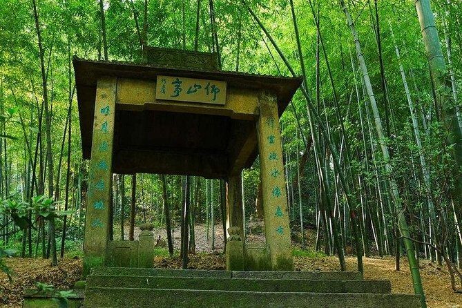 Hangzhou Jiuxi and Hupao Spring Hiking Day Trip from Shanghai by Bullet Train - What Value Does the Tour Offer?