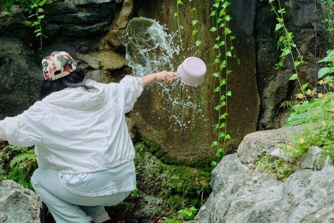 Hangzhou Mini-Hike Tour with Local Market Life Experience - FAQ