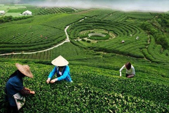 Hangzhou Private Customized Day Trip from Shanghai by Bullet Train - Who Should Consider This Tour?