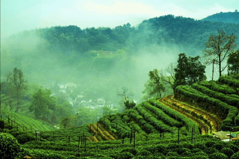 Hangzhou Private Day Trip by Bullet Train from Shanghai - Returning to Shanghai: A Smooth End