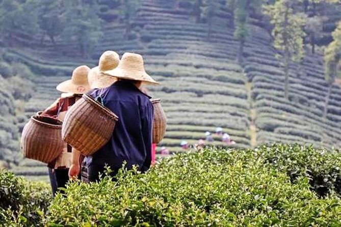 Hangzhou Private Flexible Day Tour with West Lake Boat Cruise - An In-depth Look at the Tour Experience