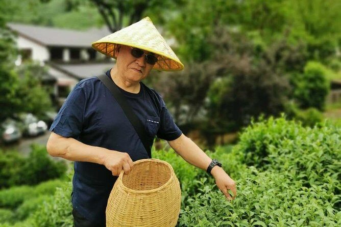 Hangzhou West Lake and Tea Plantation Half Day Tour - Transportation and Logistics