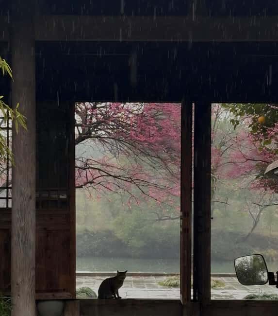 Hangzhous Urban Oasis: Poetic Xixi Wetland Half-Day Tour - Hangzhous Urban Oasis: Poetic Xixi Wetland Half-Day Tour